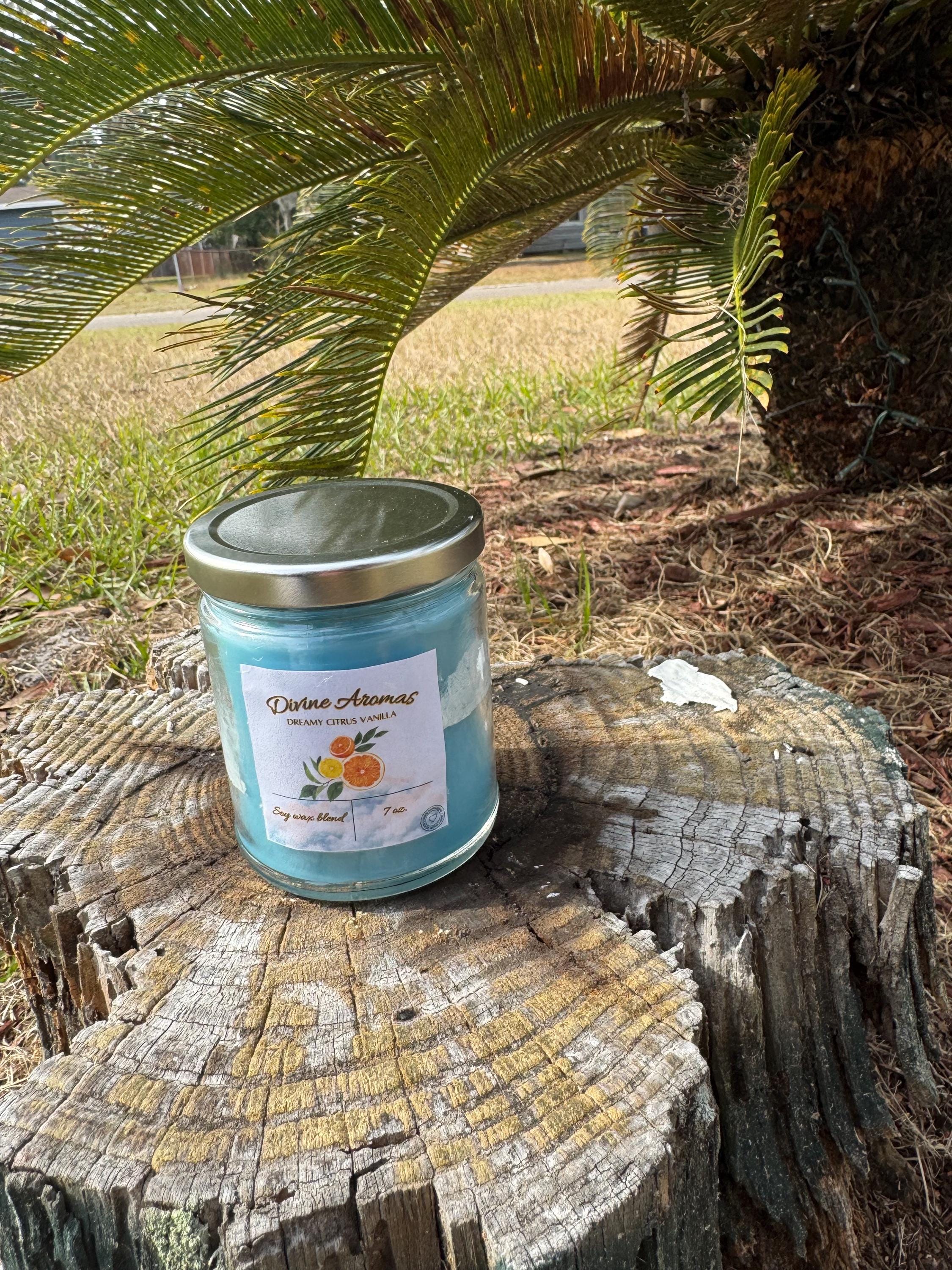 Dreamy Citrus Vanilla Candle