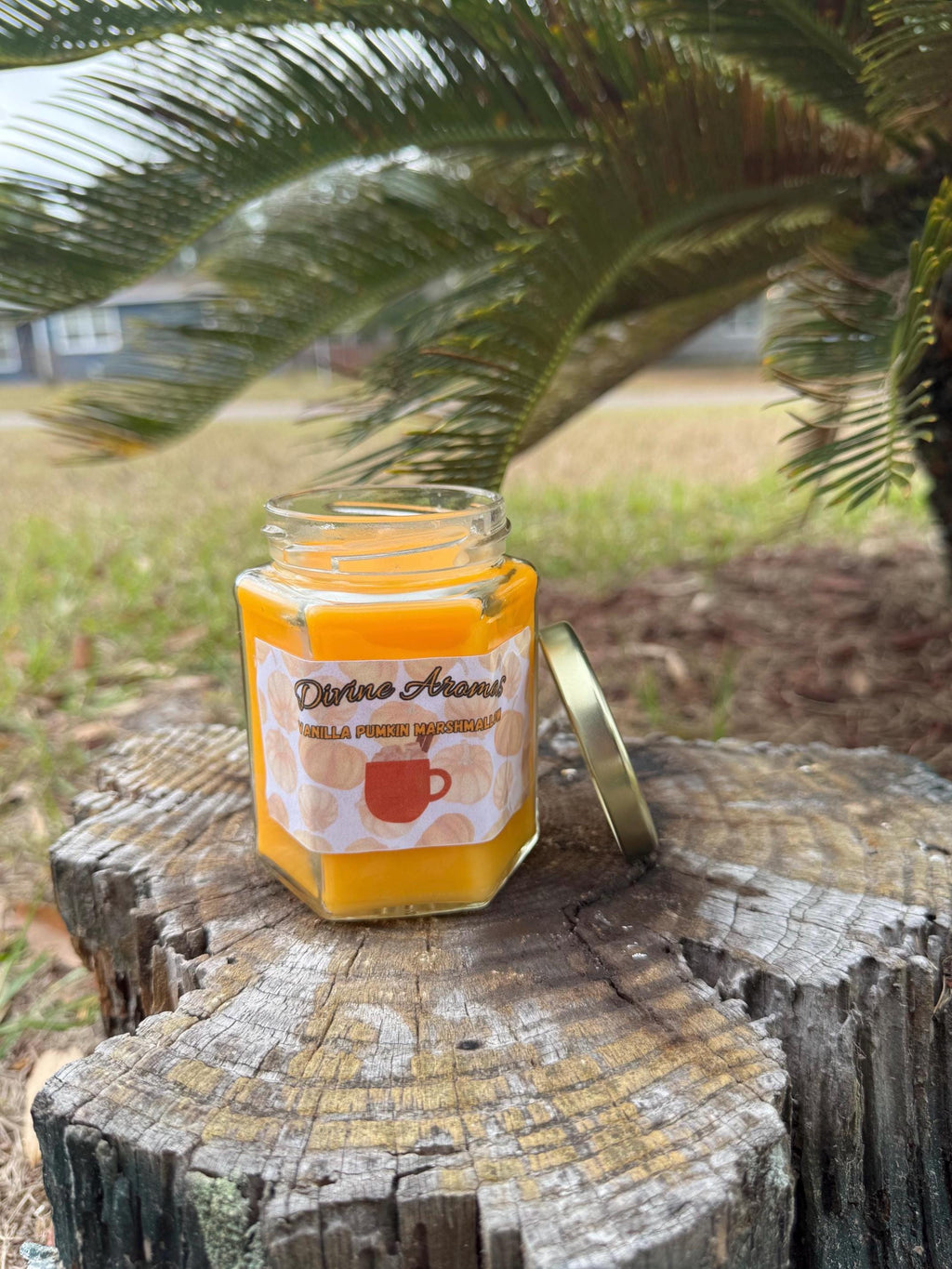 Vanilla Pumpkin Marshmallow Candle